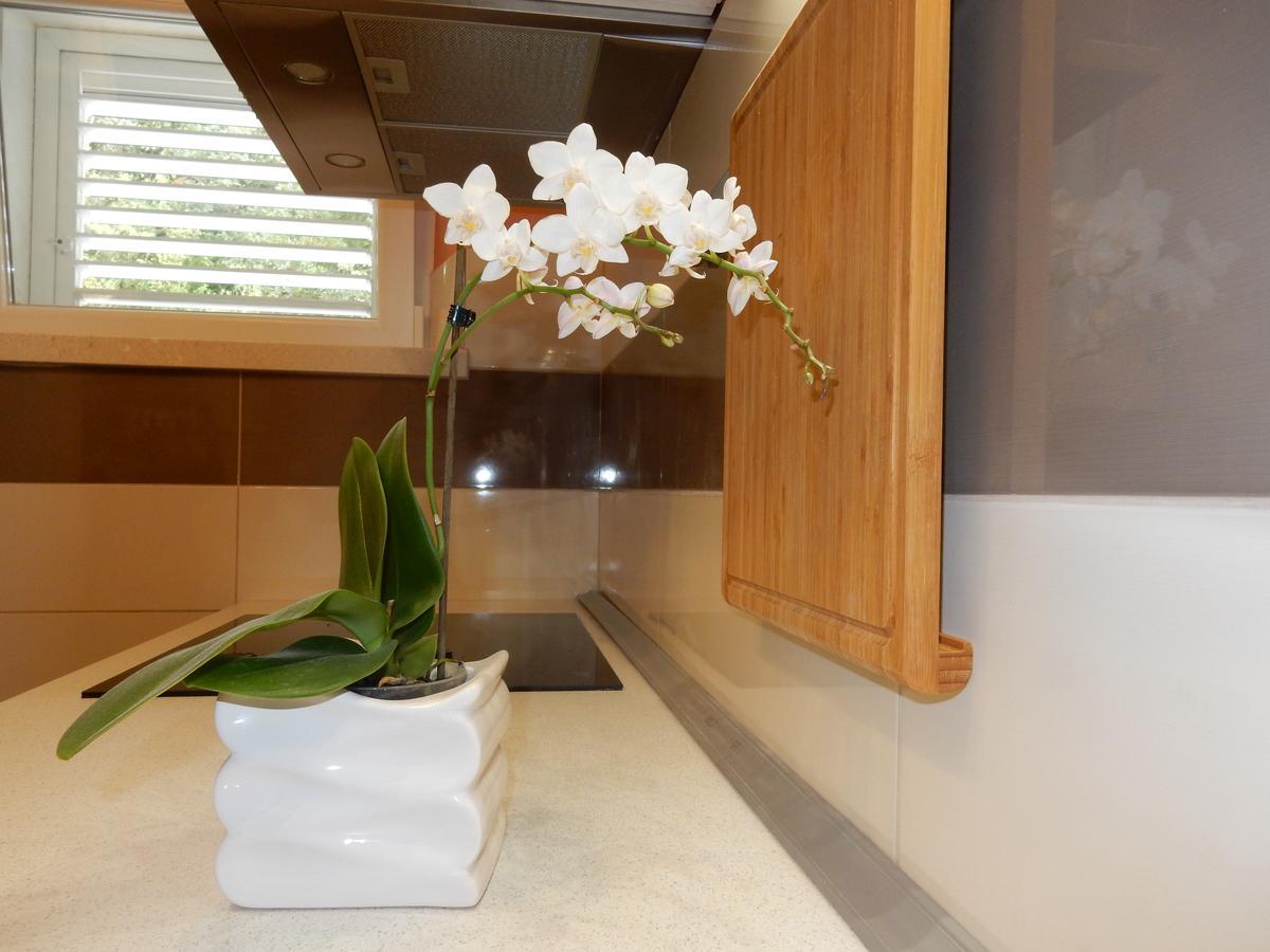 Dado Apartma